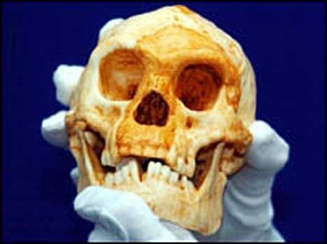 skull_cast_of_hobbits_sfw